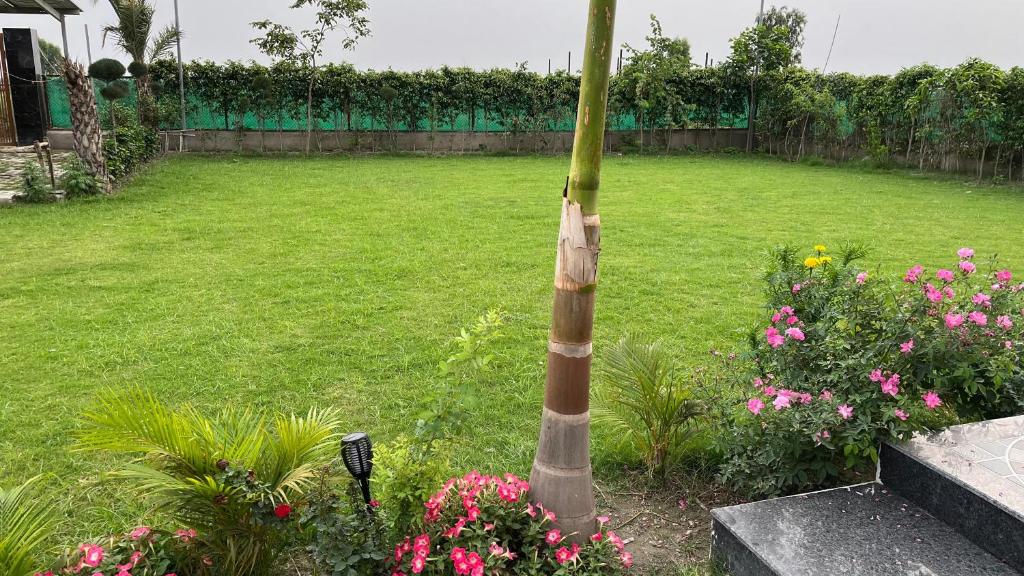 Green lawn at Vijay Laxmi Farm House Greater Noida